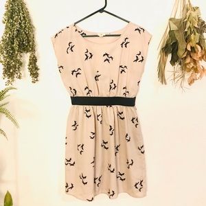 Tan/Black Swallows Mini Dress